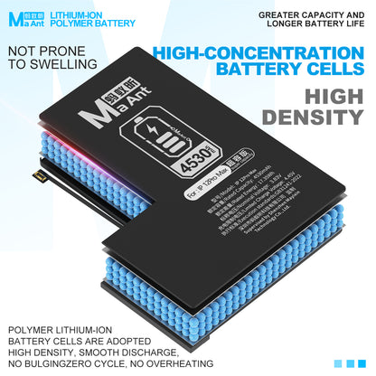 Lithium-ion Polymer Battery Ultra Capacity Version